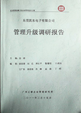 2011年3月15日，正睿咨詢專家向凱東決策層陳述調(diào)研報告