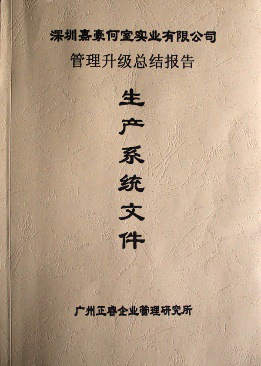 深圳市嘉豪何室實(shí)業(yè)有限公司管理升級總結(jié)報(bào)告