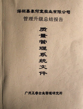 深圳市嘉豪何室實(shí)業(yè)有限公司管理升級總結(jié)報(bào)告