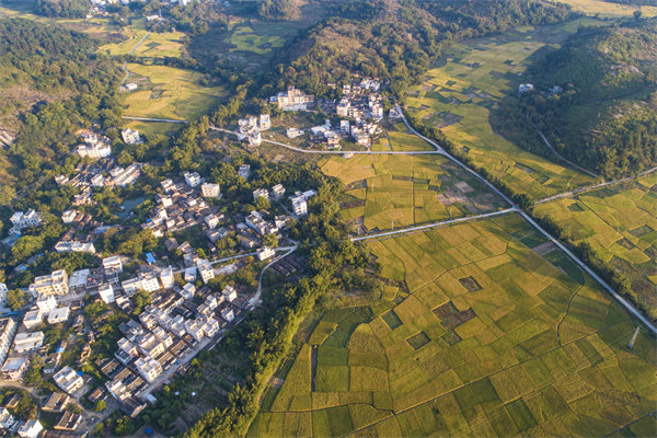 肇慶預算管理咨詢公司如何為企業(yè)構(gòu)建精細化的預算體系？